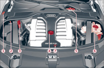 Locations of fluid containers, engine oil filler cap and oil dipstick on W12 engine